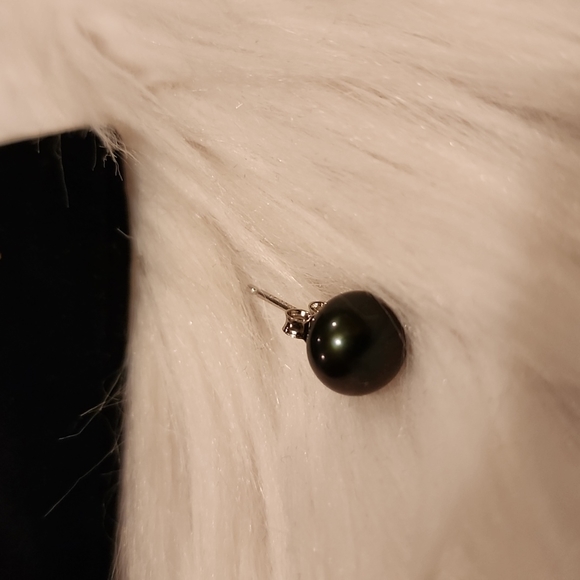Belle de Mer Cultured Freshwater Button Pearl (8-9mm) Stud Earrings in Black - Picture 3 of 3